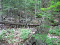 Old Hill Village - South End 580